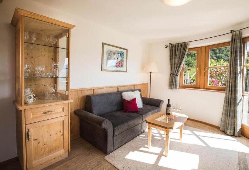 酒店 Apartments Pitschlmann