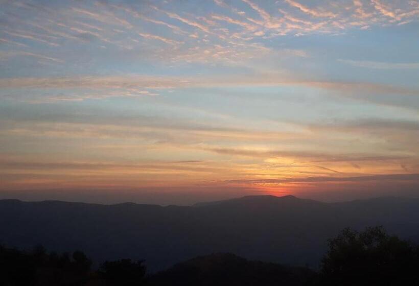 Szálloda Nirvana Inn