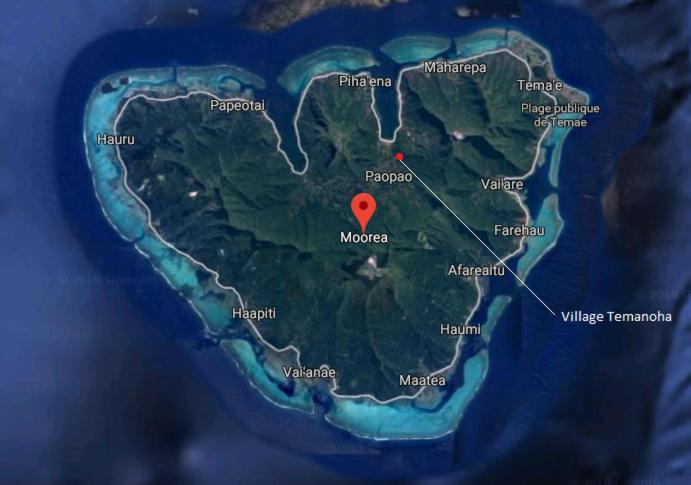 هتل Eco Lodge Village Temanoha