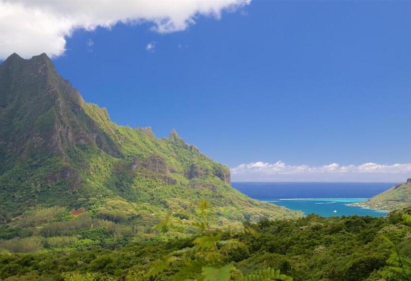 هتل Eco Lodge Village Temanoha