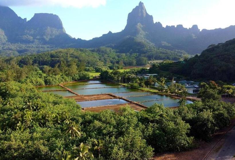 هتل Eco Lodge Village Temanoha