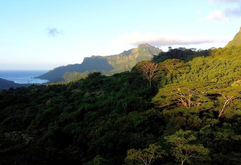 هتل Eco Lodge Village Temanoha