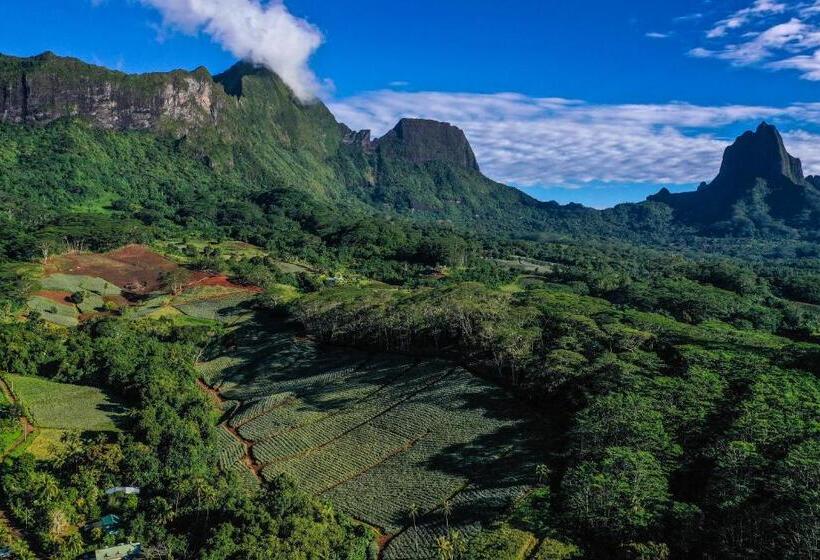 هتل Eco Lodge Village Temanoha