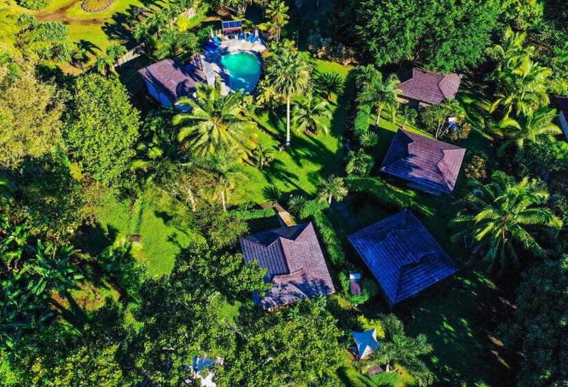 هتل Eco Lodge Village Temanoha