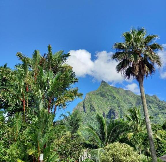 هتل Eco Lodge Village Temanoha