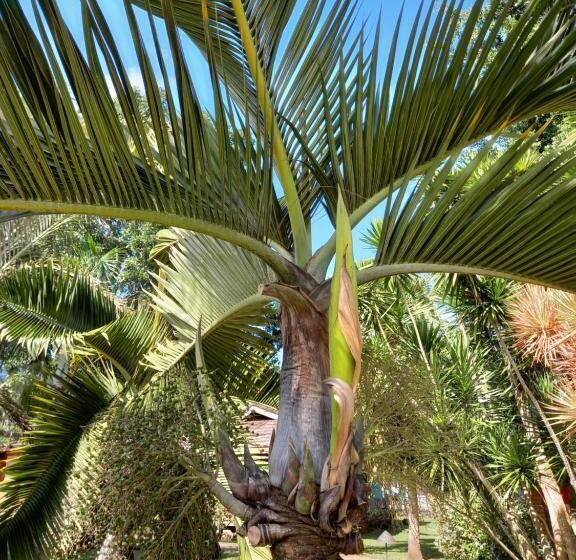 هتل Eco Lodge Village Temanoha