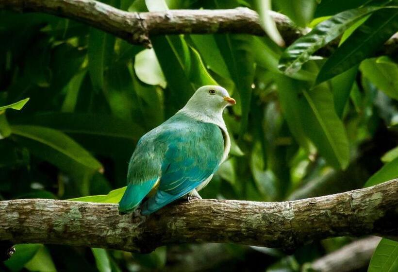 هتل Eco Lodge Village Temanoha