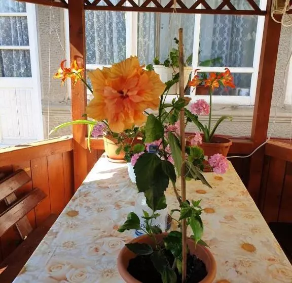 پانسیون Casa Di Madi