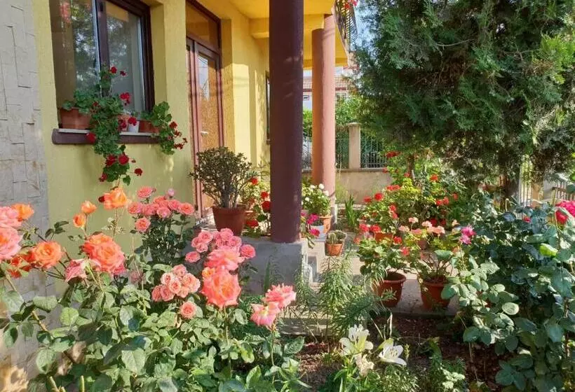 پانسیون Casa Di Madi