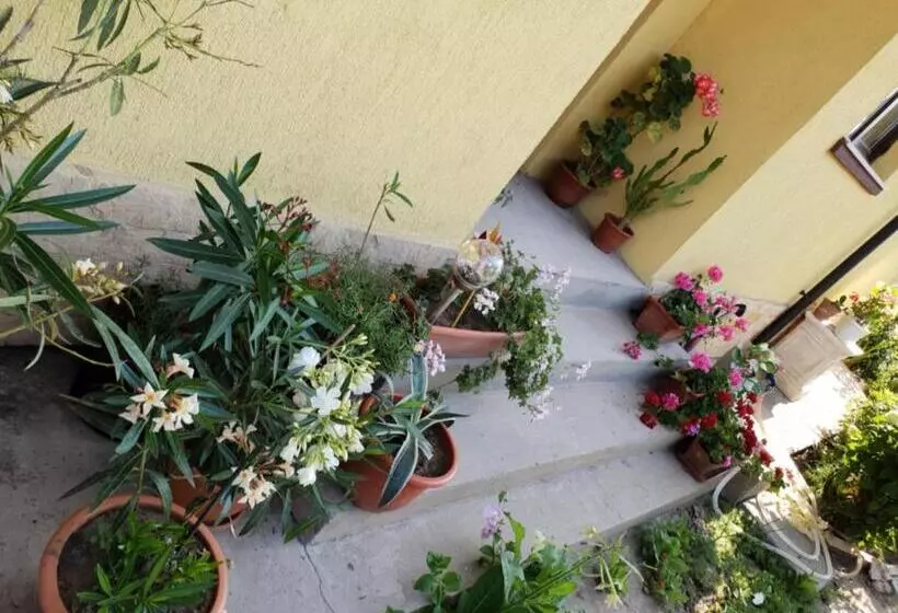 پانسیون Casa Di Madi