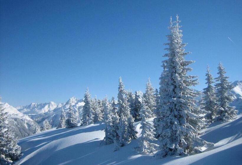 ペンション Chalet Alber