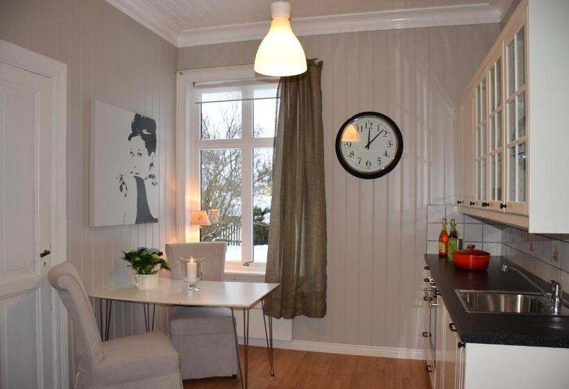 بنسيون Døsen Gård