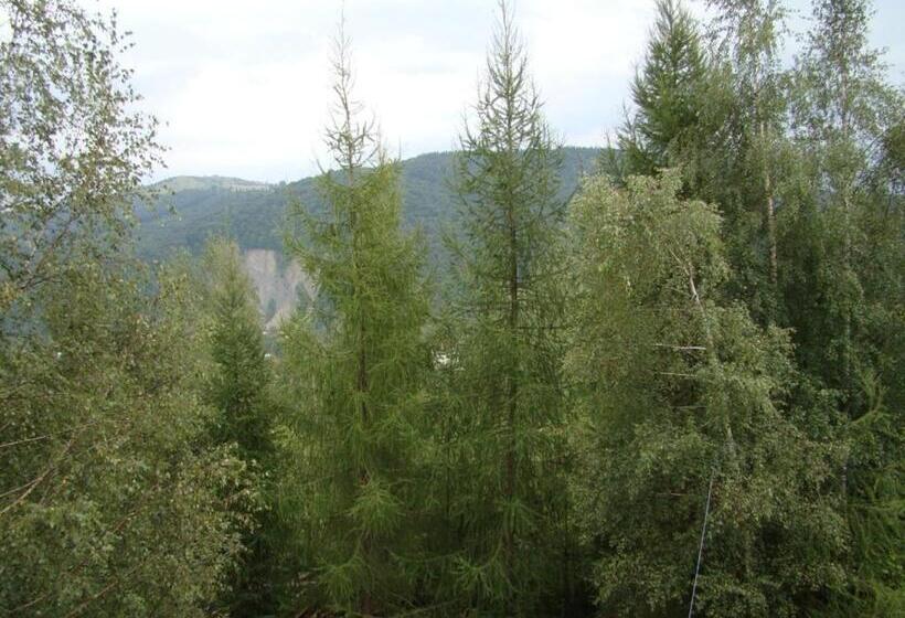 פנסיון Na Velykim