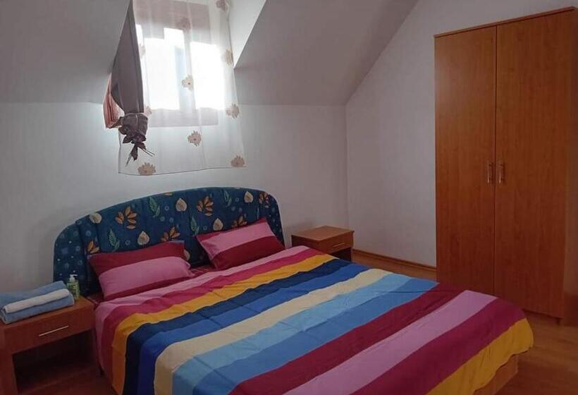 Pensiunea Casa Dănuț