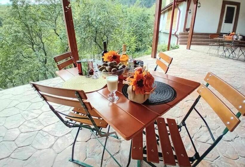 Pensiunea Casa Dănuț