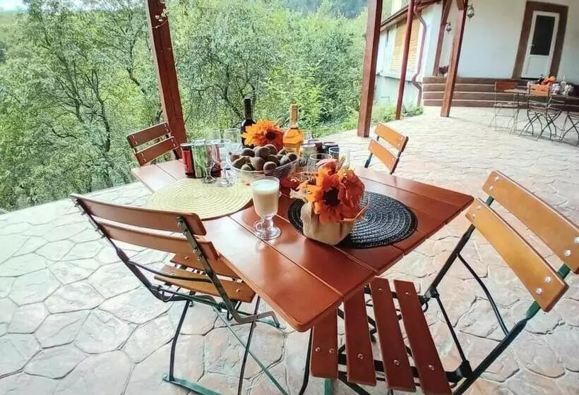 Pensiunea Casa Dănuț