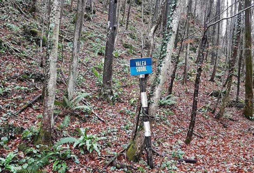 Pensiunea Casa Dănuț