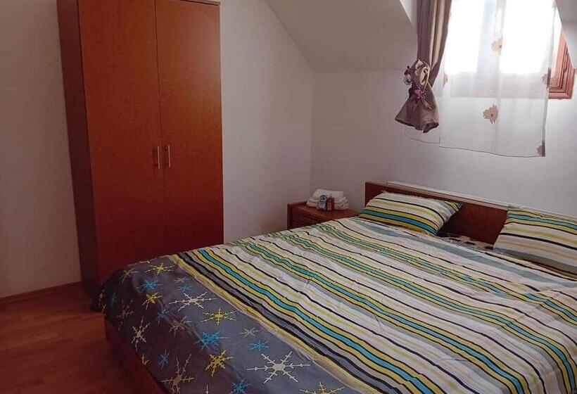 Pensiunea Casa Dănuț