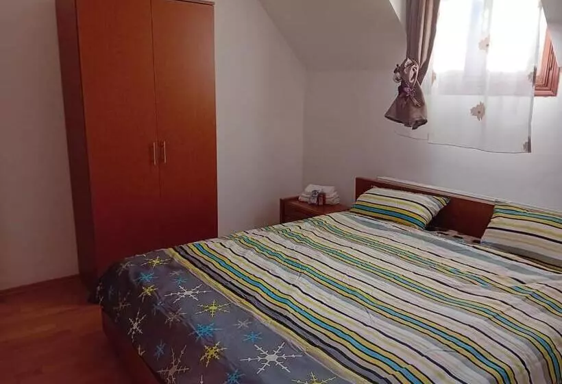 Pensiunea Casa Dănuț