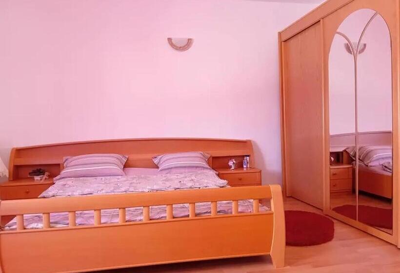 Pensiunea Casa Dănuț