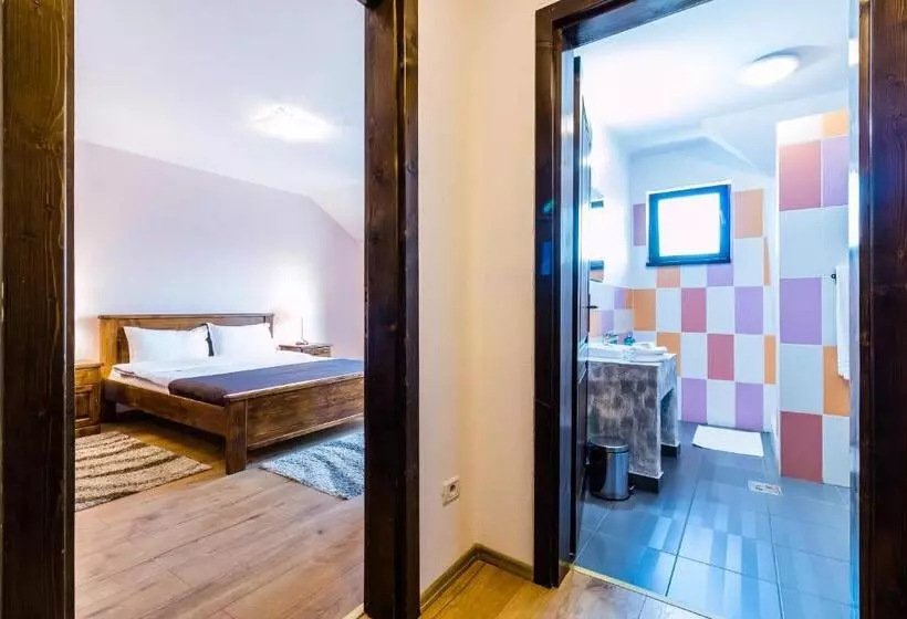 Pensiunea Stella Drăguș