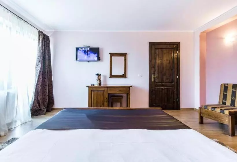 Pensiunea Stella Drăguș