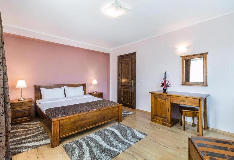 Pensiunea Stella Drăguș