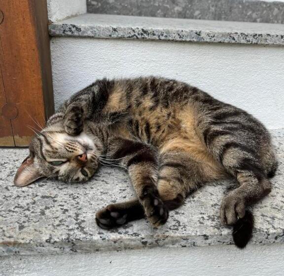 בית מלון כפרי Casa Arte Cabore