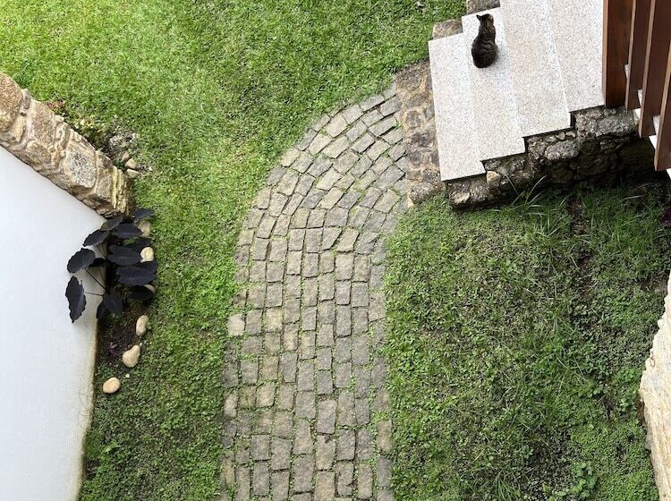 בית מלון כפרי Casa Arte Cabore