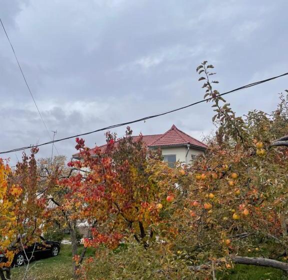 پانسیون Lake House