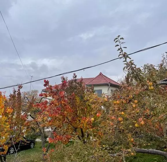 پانسیون Lake House