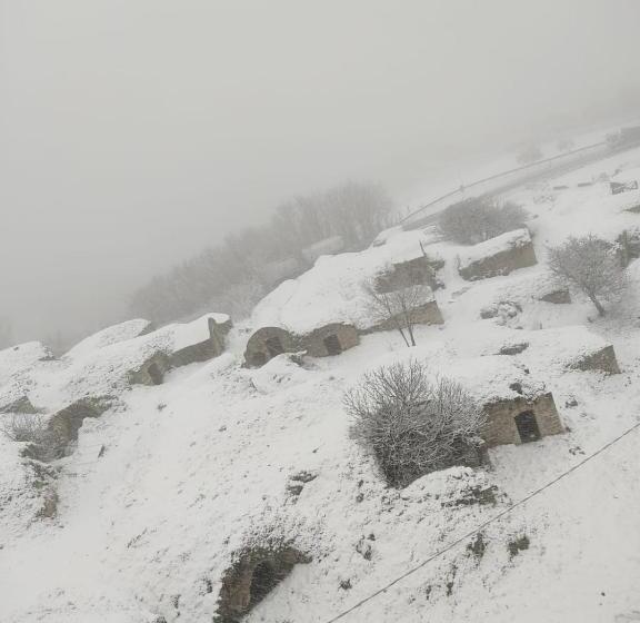 Albergo Ailanthus B&b