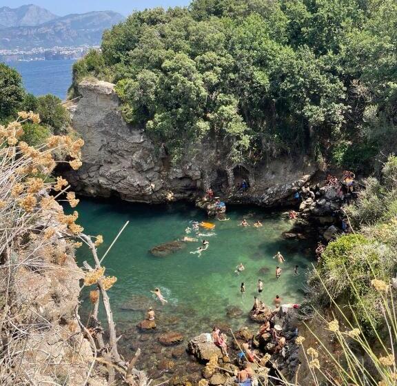 ベッドアンドブレックファースト Lemon Gaja