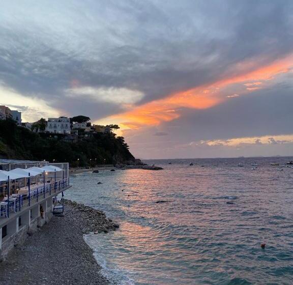 ベッドアンドブレックファースト Lemon Gaja