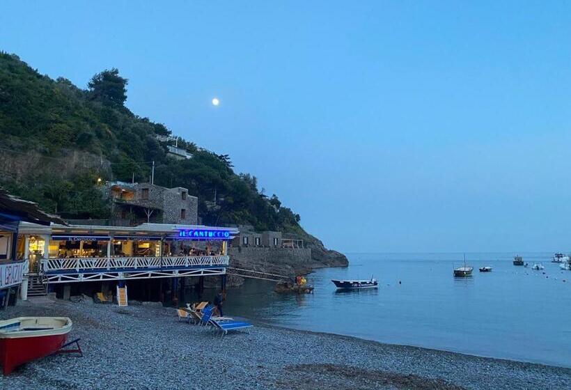 ベッドアンドブレックファースト Lemon Gaja