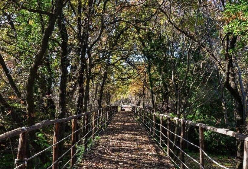 酒店 Etna Residence Zafferana Etnea