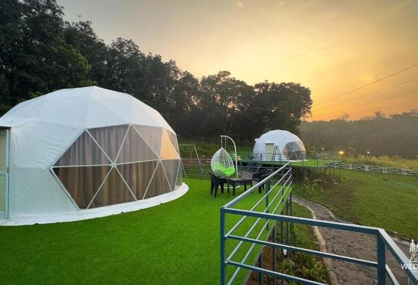 בית מלון כפרי Wildglamps