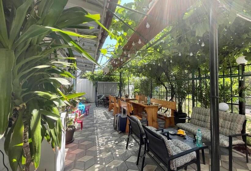 پانسیون Casa Francisc