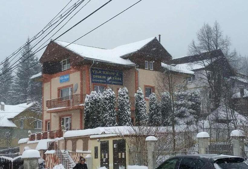 Pensjonat Dalin Vila