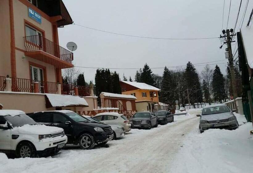 Pensjonat Dalin Vila