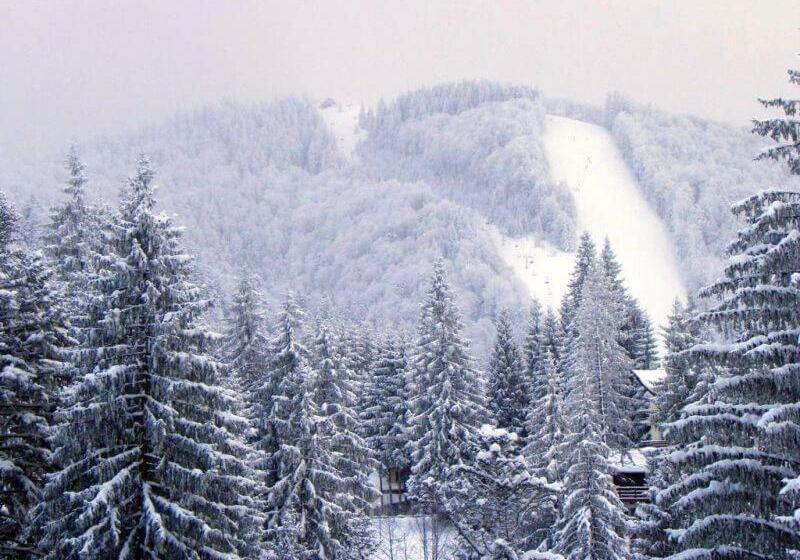 Pensjonat Dalin Vila