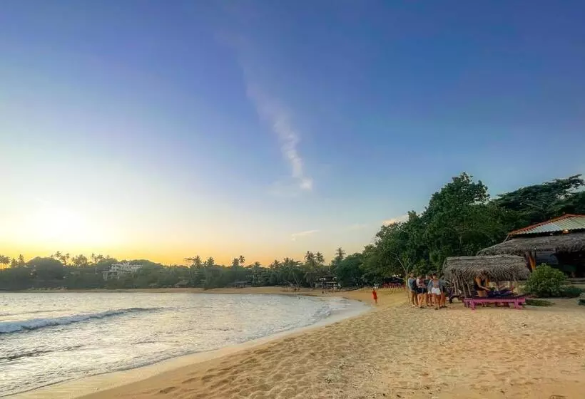 ペンション Summer Lodge Tangalle