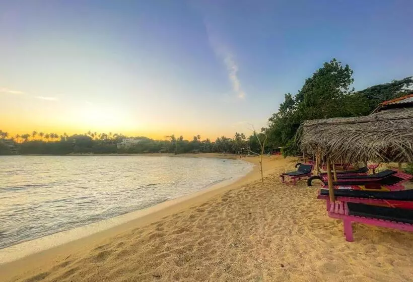 ペンション Summer Lodge Tangalle
