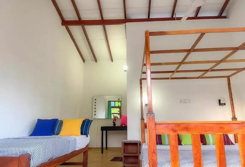 ペンション Summer Lodge Tangalle