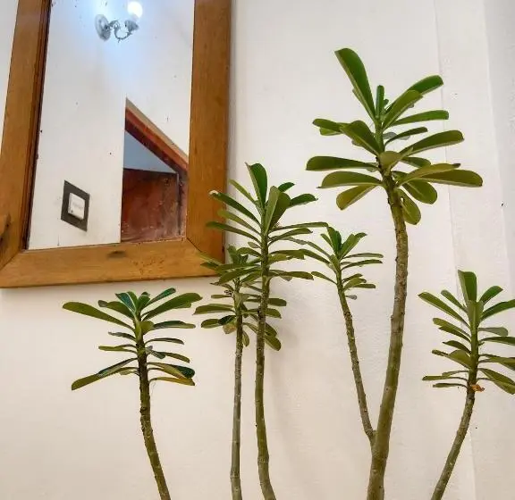 ペンション Summer Lodge Tangalle