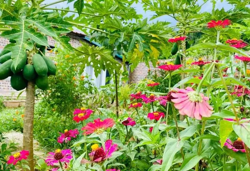 تختخواب و صبحانه Wind Hill Homestay Hà Giang  đồi Gió Homestay