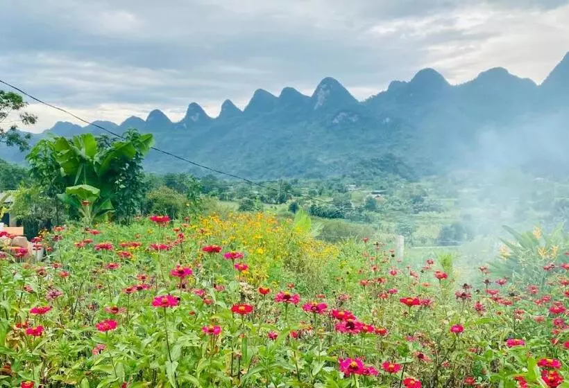 تختخواب و صبحانه Wind Hill Homestay Hà Giang  đồi Gió Homestay