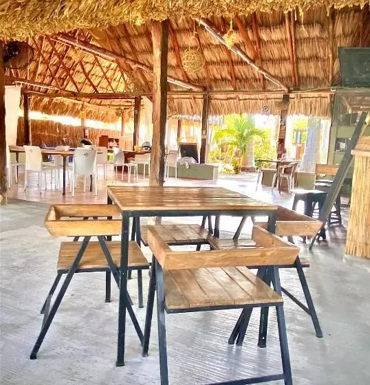 Kapselihotelli Asana Glamping