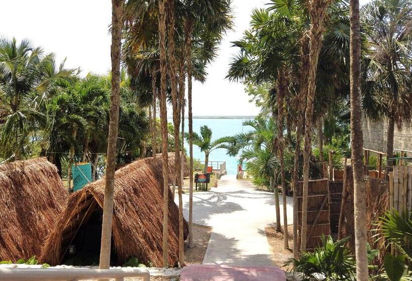 מלון כמוסות Asana Glamping