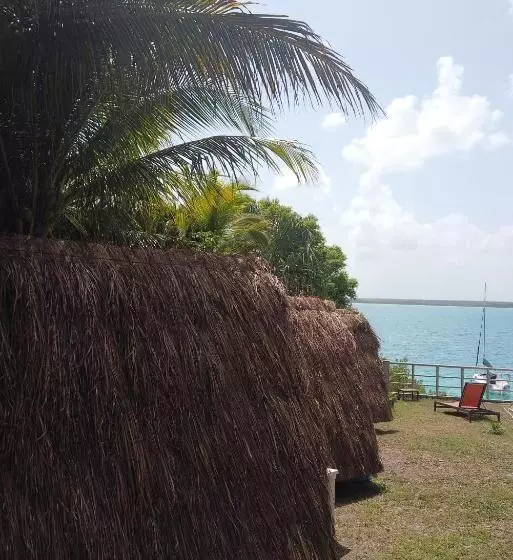Kapselihotelli Asana Glamping